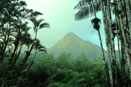 Martinique