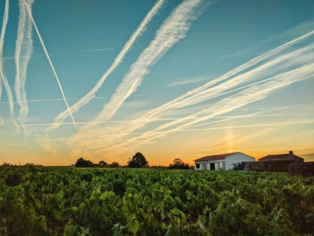 Pays de la Loire