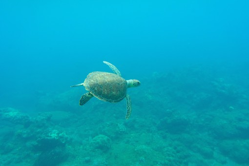 Curaçao