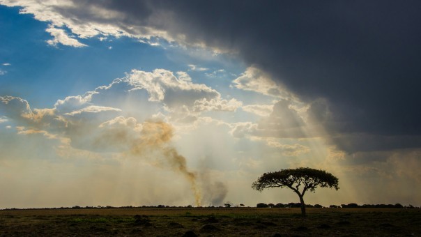 Zambia