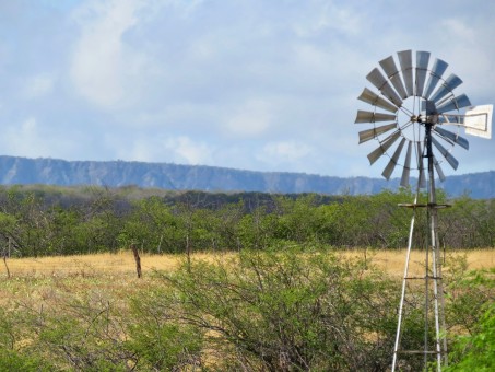 Rio Grande do Norte