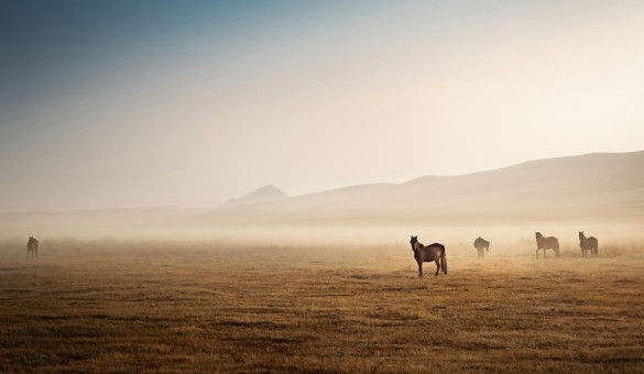 Inner Mongolia