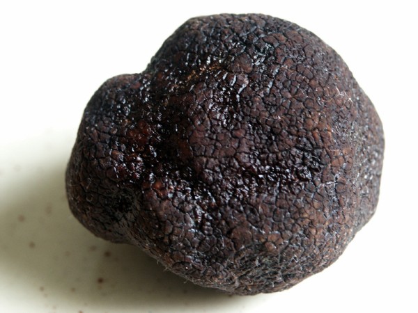 Black truffles