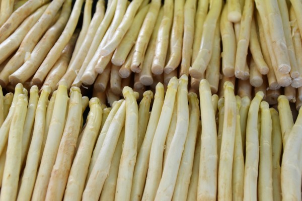 Asperges blanches