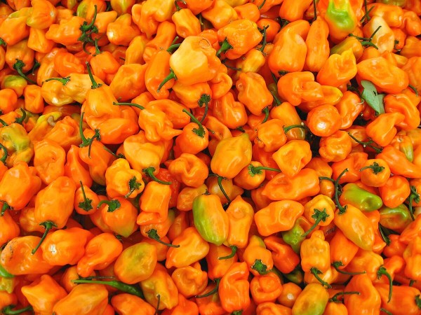 Murupi chilies