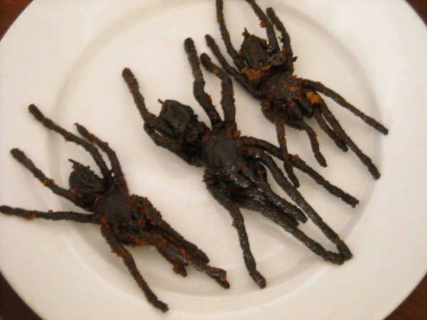 Fried spider