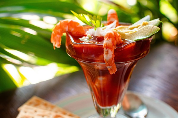 Shrimp cocktail