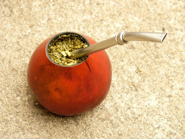 Yerba mate