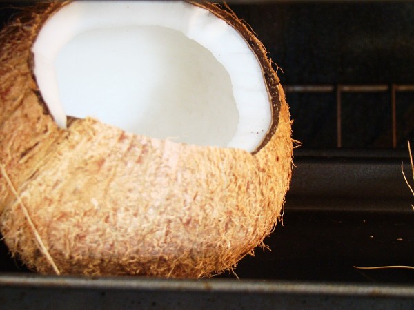 Dried coconut