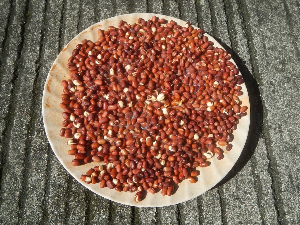 Adzuki beans