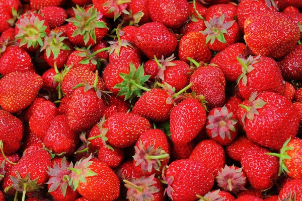 Fraises de Nîmes