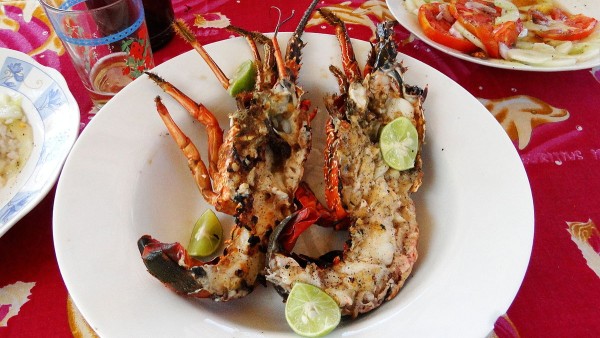 Langouste grillée