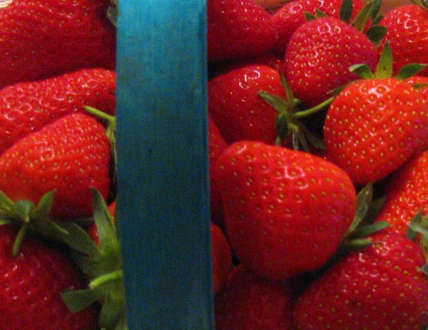 Fraise du Périgord