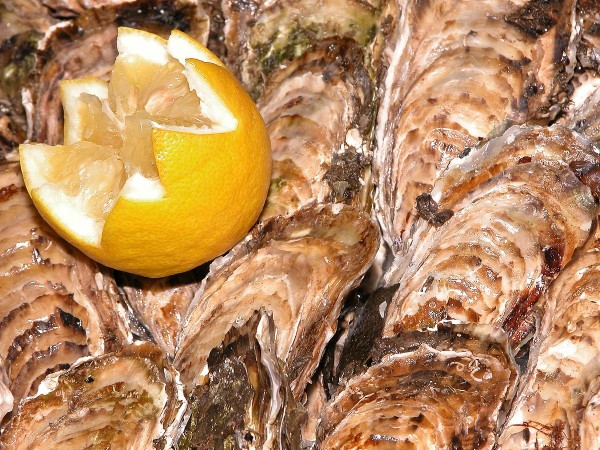 Étang de Thau oysters