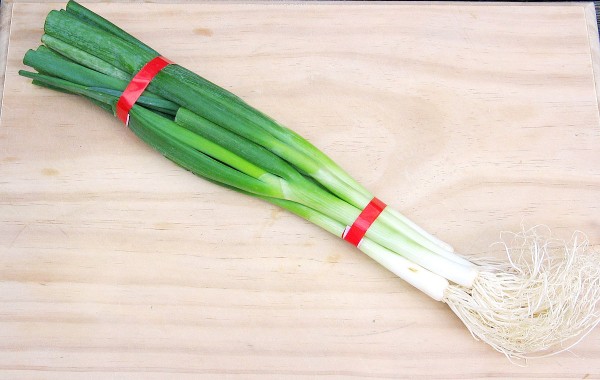 Spring onion