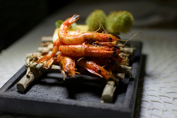 Tiger prawn