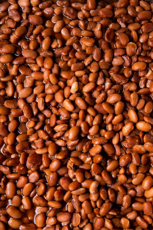 Pinto beans