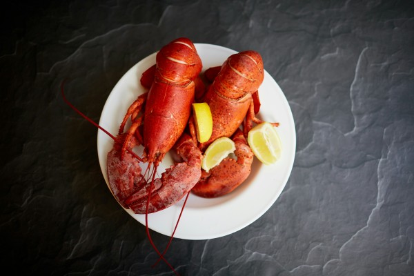 European lobster