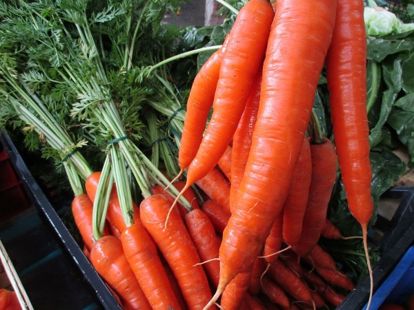 Carota dell'Altopiano del Fucino