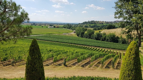 Montepulciano