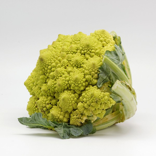 Broccolo romano