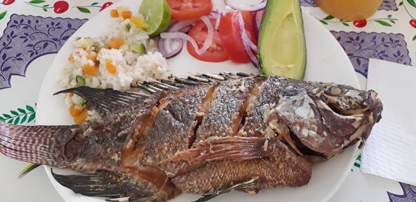 Mojarra