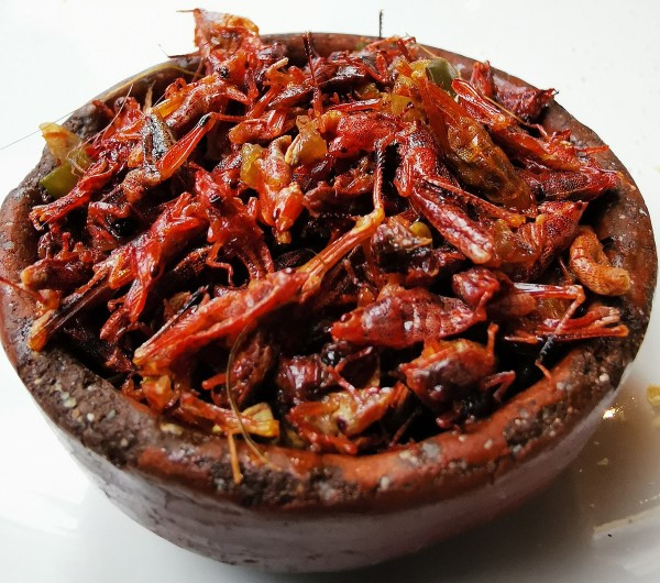 Chapulines