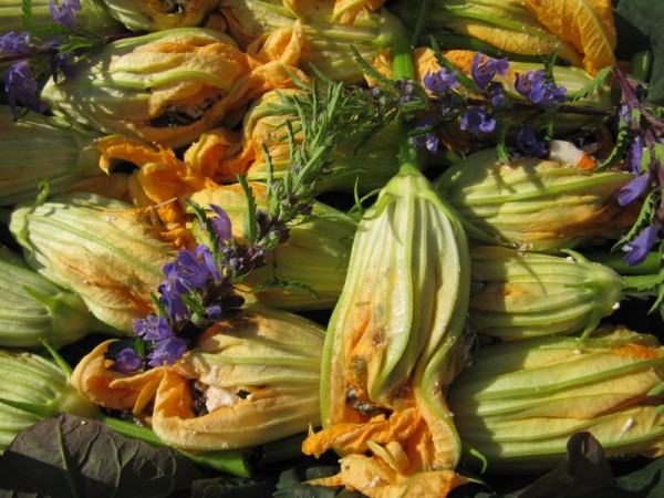 Fleurs de courgettes farcies