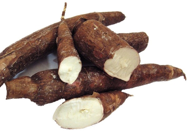 Cassava