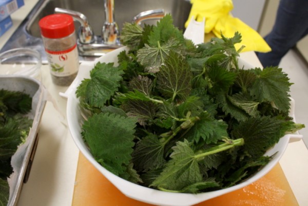 Stinging nettle soup