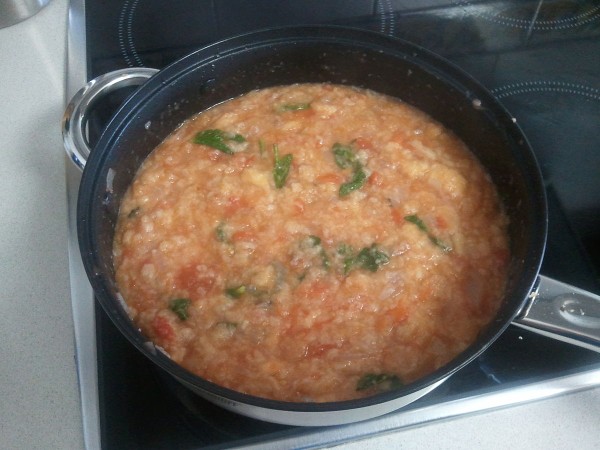 Sopa de tomate Alentejana