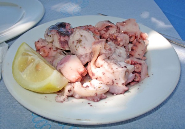 Octopus salad