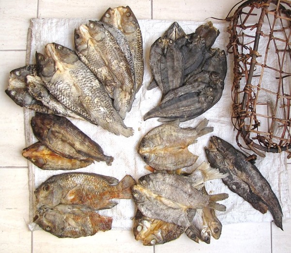 Dried fish