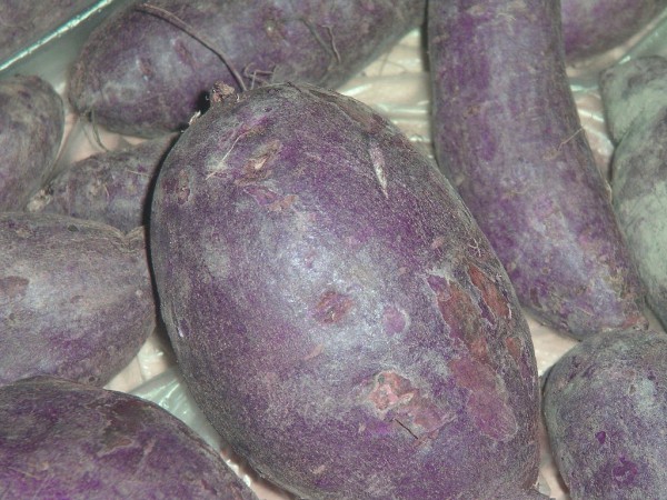 Hawaiian sweet potato