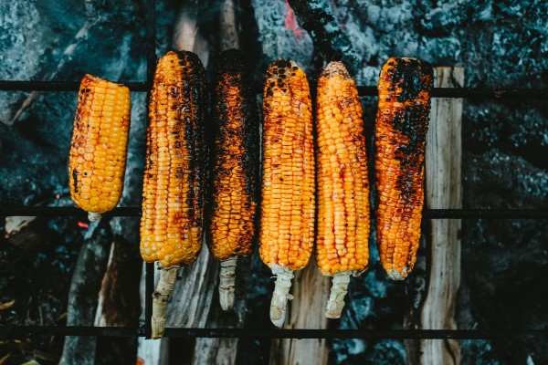 Acholi grilled corn