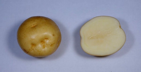 Irish potatoes