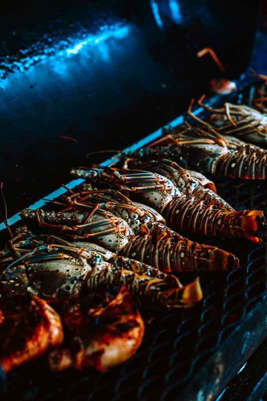 Grilled spiny lobster