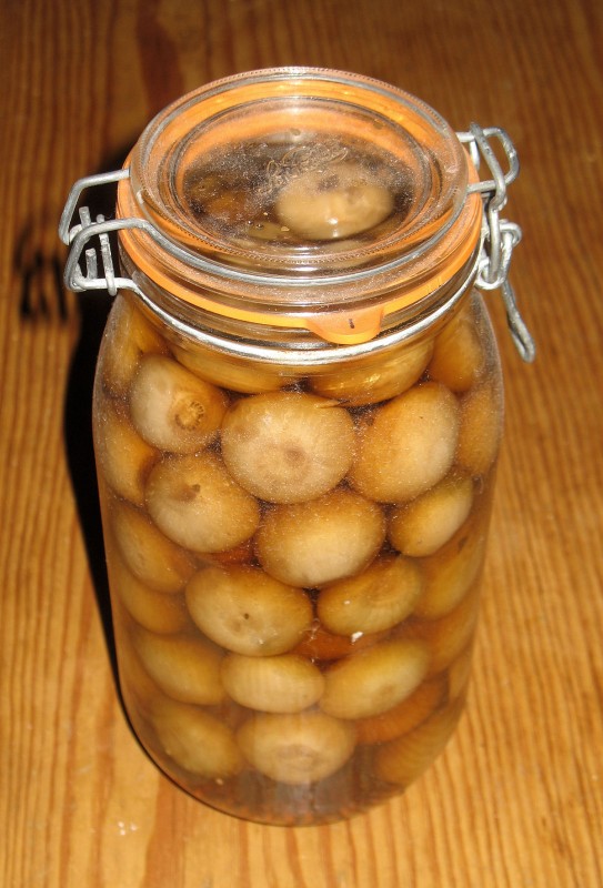 Pickled onion