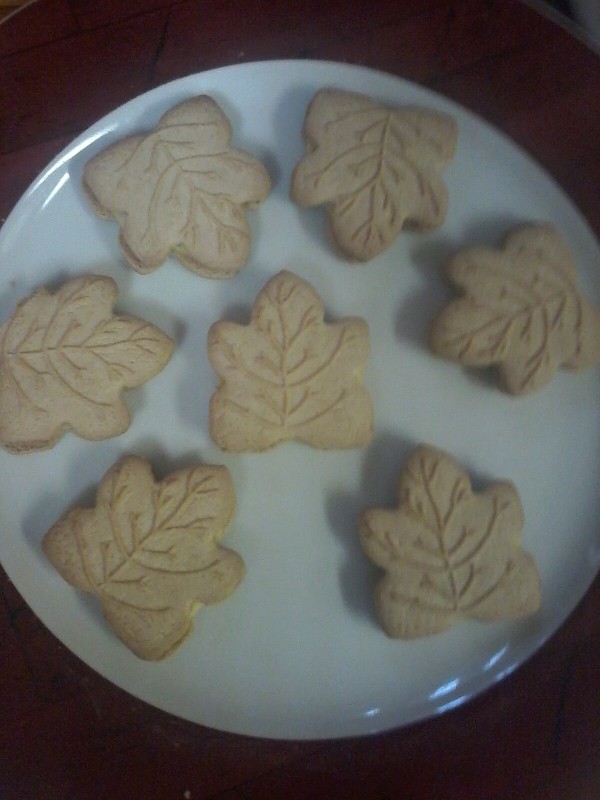 Maple leaf cream cookies