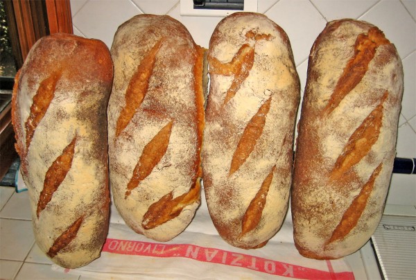 Pane Toscano