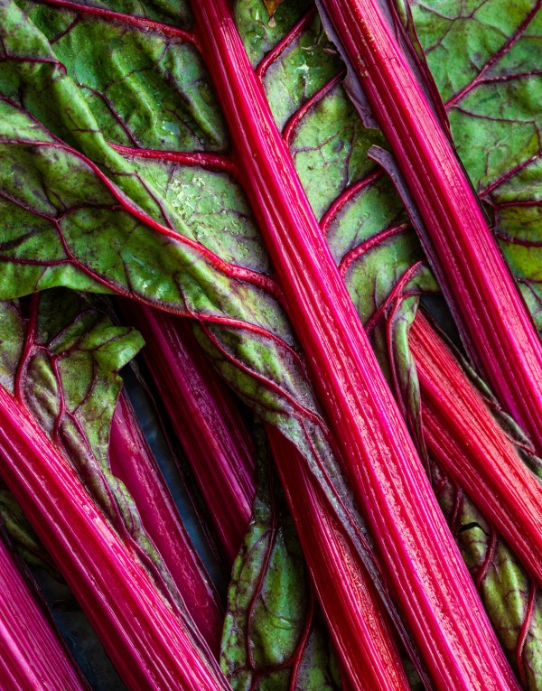 Rhubarb