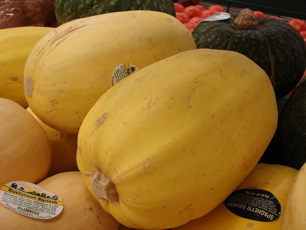 Spaghetti squash