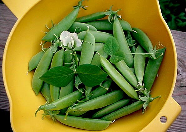 Sugar snap peas