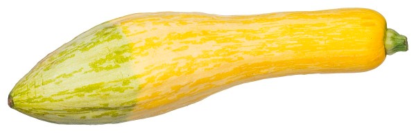 Yellow squash