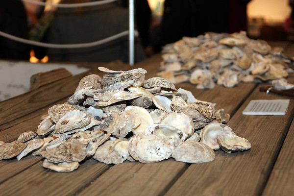 Oyster roast