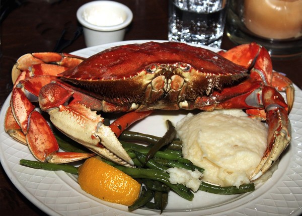 Dungeness crab