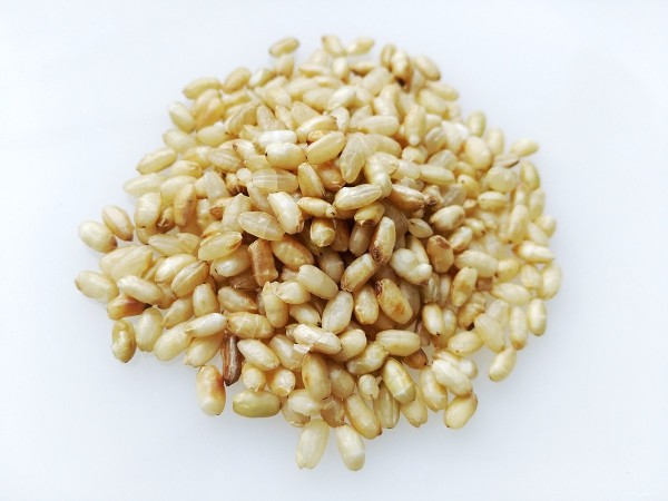 Roasted grains