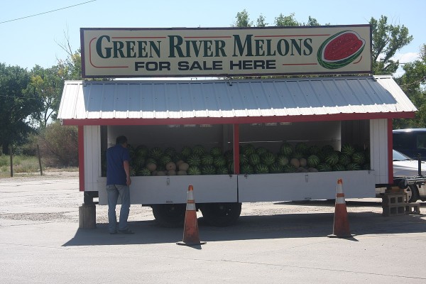 Green River watermelon