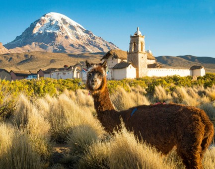 Bolivia