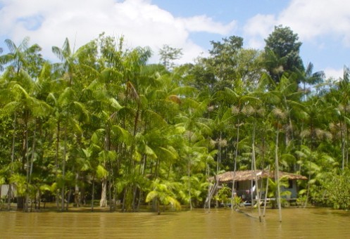 Amapá